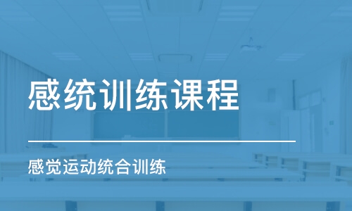 北京感統訓練課程