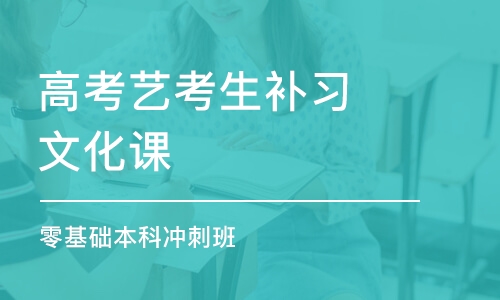 武汉高考艺考生补习文化课