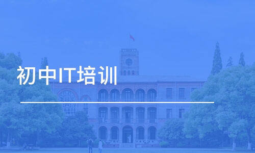 南京博為峰·初中IT培訓班