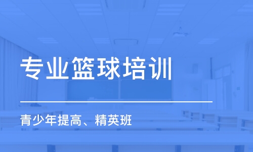 沈陽專業(yè)籃球培訓中心