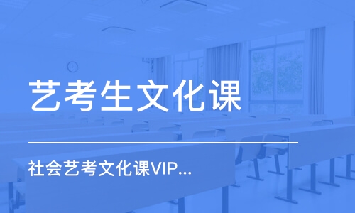 成都社会艺考文化课VIP1v1