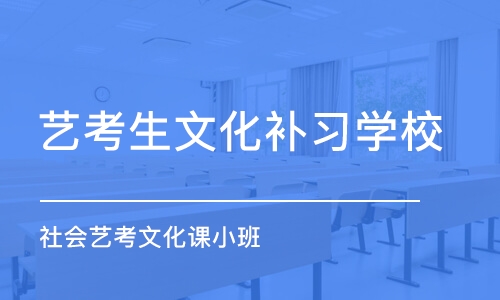 成都社会艺考文化课小班