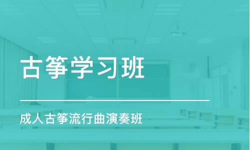 成都成人古筝流行曲演奏班