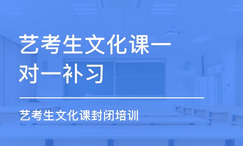 深圳藝考生文化課一對一補習(xí)