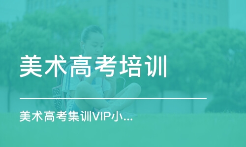 武汉美术高考集训VIP小班