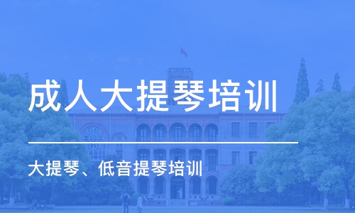 深圳大提琴、低音提琴培训