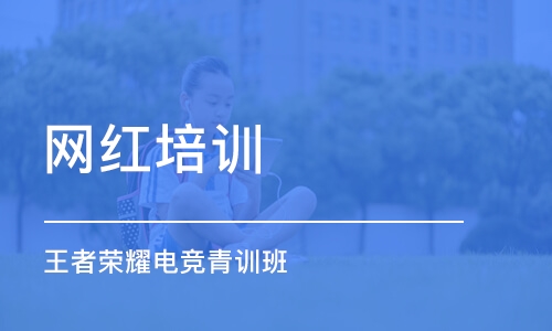 成都网红培训学校