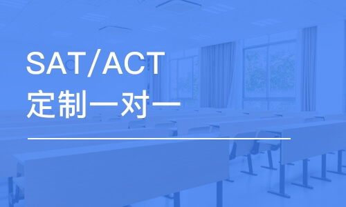 SAT/ACT定制一對一