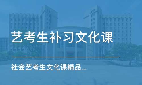 武汉艺考生补习文化课