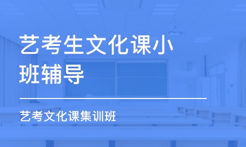 深圳藝考生文化課小班輔導(dǎo)