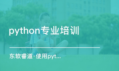 天津东软睿道·使用python