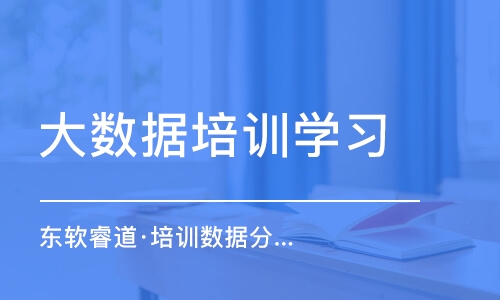 青岛东软睿道·培训数据分析