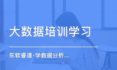 青岛东软睿道·学数据分析比较好的培训班