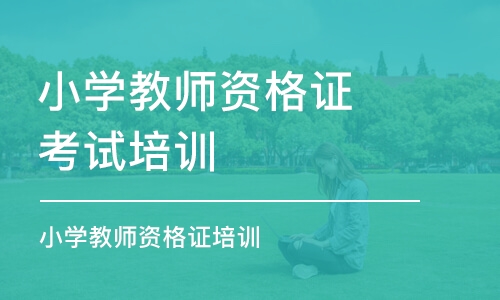 郑州小学教师资格证考试培训