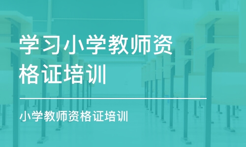 青岛学习小学教师资格证培训班