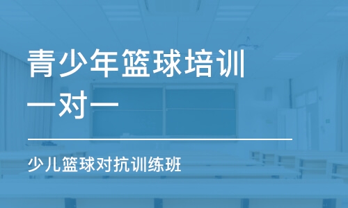 北京青少年籃球培訓(xùn)一對一