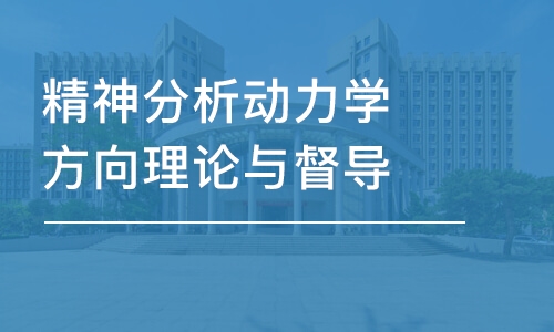 合肥精神分析动力学方向理论与督导-高级班