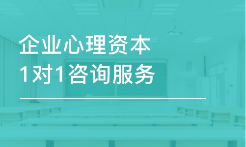 杭州企業(yè)心理資本1對1咨詢服務(wù)