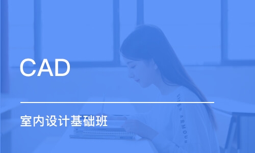 CAD 室內(nèi)設(shè)計基礎(chǔ)班