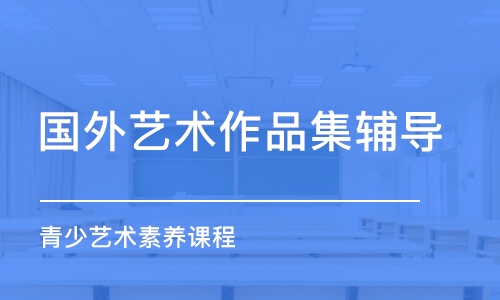 济南国外艺术作品集辅导