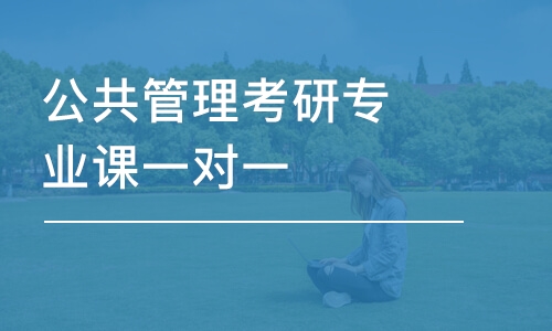 北京公共管理考研專業(yè)課一對(duì)一 