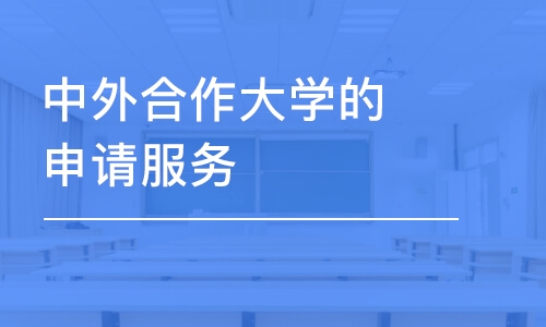 济南中外合作大学申请服务