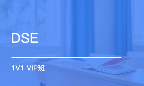 深圳DSE 1V1 VIP班