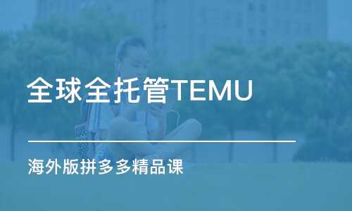 全球全托管TEMU(海外版拼多多）精品課