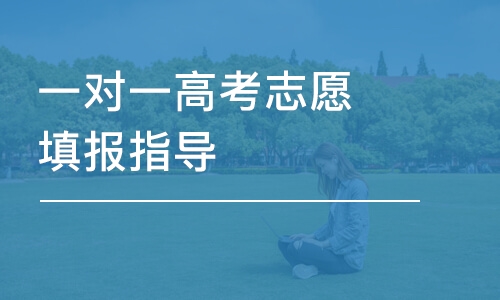 重慶一對一高考志愿填報指導(dǎo)