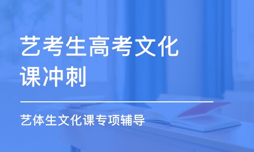 石家莊藝考生高考文化課沖刺