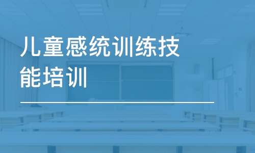 兒童感統(tǒng)訓(xùn)練技能培訓(xùn)課程