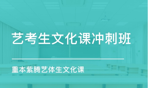 廣州藝考生文化課沖刺班