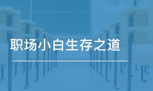 北京職場小白生存之道