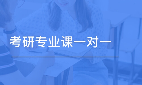 考研專業(yè)課一對一