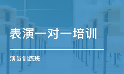 北京表演一對一培訓