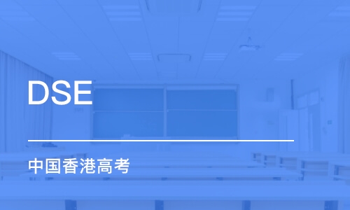 合肥DSE（中国香港高考）