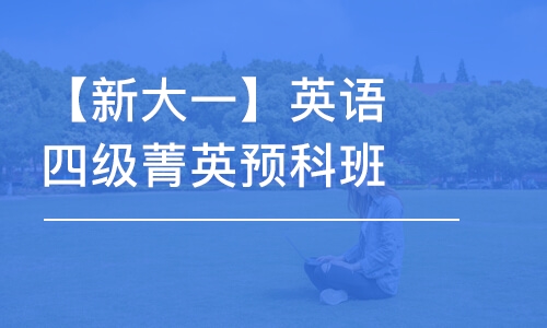 【新大一】英語四級(jí)菁英預(yù)科班