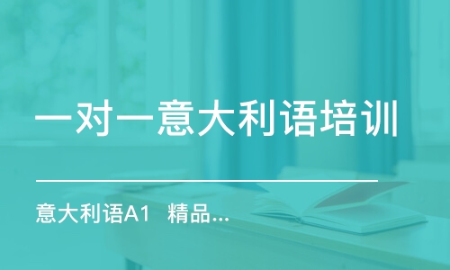 合肥一對一意大利語培訓(xùn)