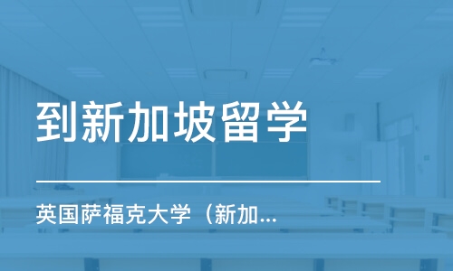 天津到新加坡留学