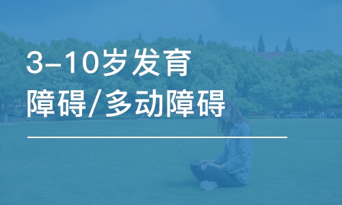 北京3-10歲發(fā)育障礙/多動障礙引導(dǎo)