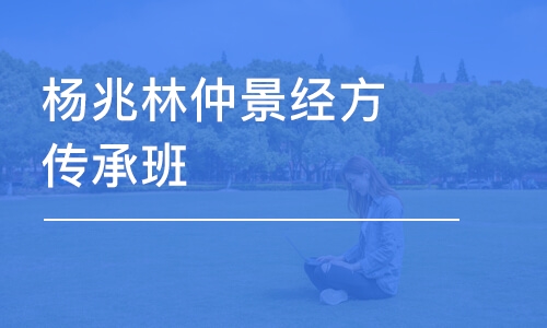 济南杨兆林仲景经方传承班