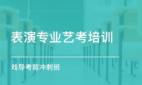 鄭州表演專業(yè)藝考培訓