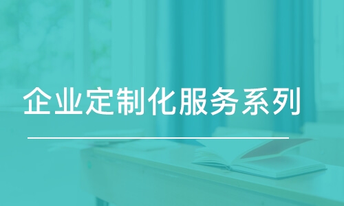 佛山企業(yè)定制化服務系列