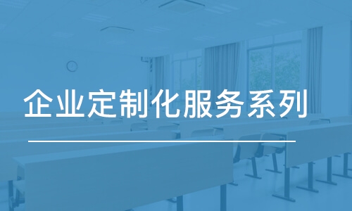 石家莊企業(yè)定制化服務(wù)系列