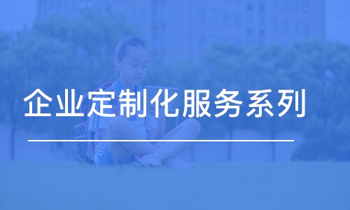 青島企業(yè)定制化服務(wù)系列