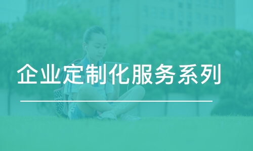 昆明企業(yè)定制化服務(wù)系列