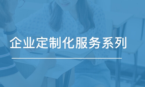 企業(yè)定制化服務(wù)系列