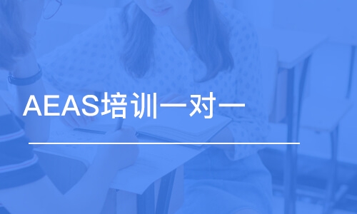 AEAS培訓(xùn)一對(duì)一