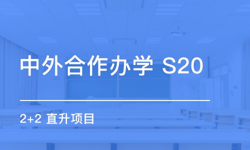 南京中外合作辦學 S20（2+2） 直升項目