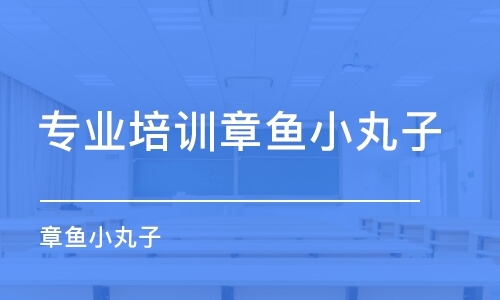 石家莊專(zhuān)業(yè)培訓(xùn)章魚(yú)小丸子